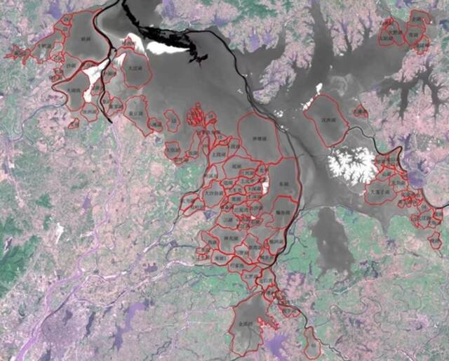 鄱阳湖内碟形湖分布图。受访者供图