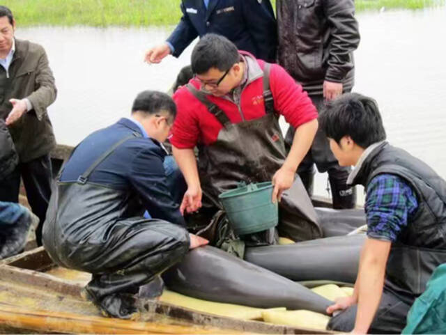 鄱阳湖干了，受影响的不只是人