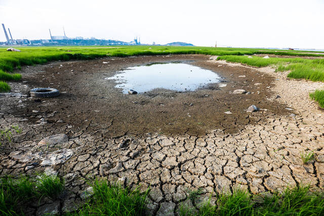 ↑2022年9月6日，进入极枯水期的鄱阳湖蛤蟆石水域，河床龟裂，严重干旱导致湖区持续“缩水”。图据视觉中国