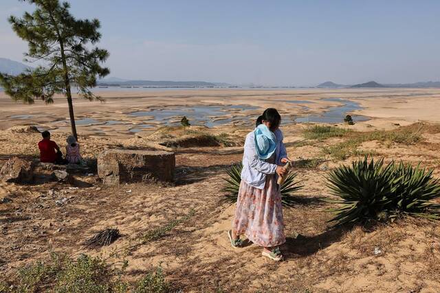 2022年9月6日，九江庐山市，鄱阳湖在千眼桥附近裸露出干涸的湖床。新京报记者郭延冰摄