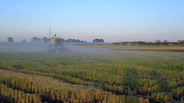 秋收见闻丨全程记录！带你了解北大荒农场水稻高产密码