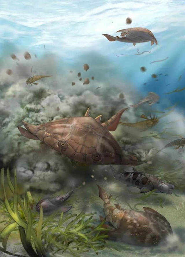 改写有颌脊椎动物早期演化历史“从鱼到人”关键证据被发现