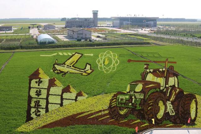 黑龙江省一处稻田画。（受访者供图）
