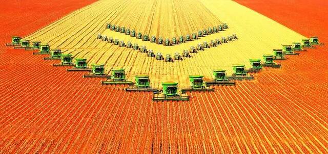 北大荒集团大型农机作业现场。（受访者供图）