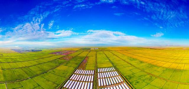黑龙江省一处农田风光。（受访者供图）