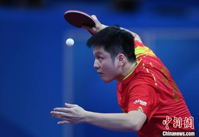 国乒男团队员樊振东在比赛中。安源摄