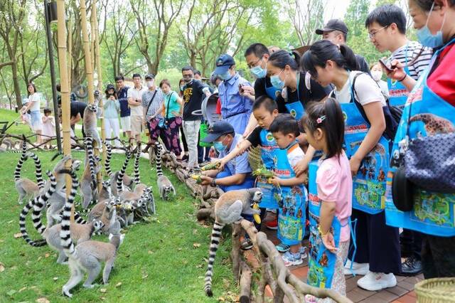 国庆假期首日去哪玩？家附近的民宿、动物园、城市露营成市民出游首选