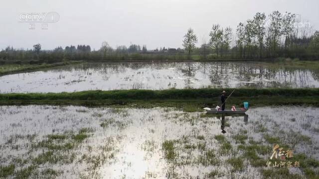 大型纪录片《征程》｜第九集 望山河容颜