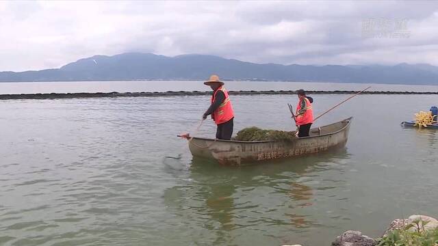 喜迎二十大｜洱海之治