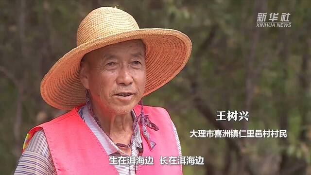 喜迎二十大｜洱海之治