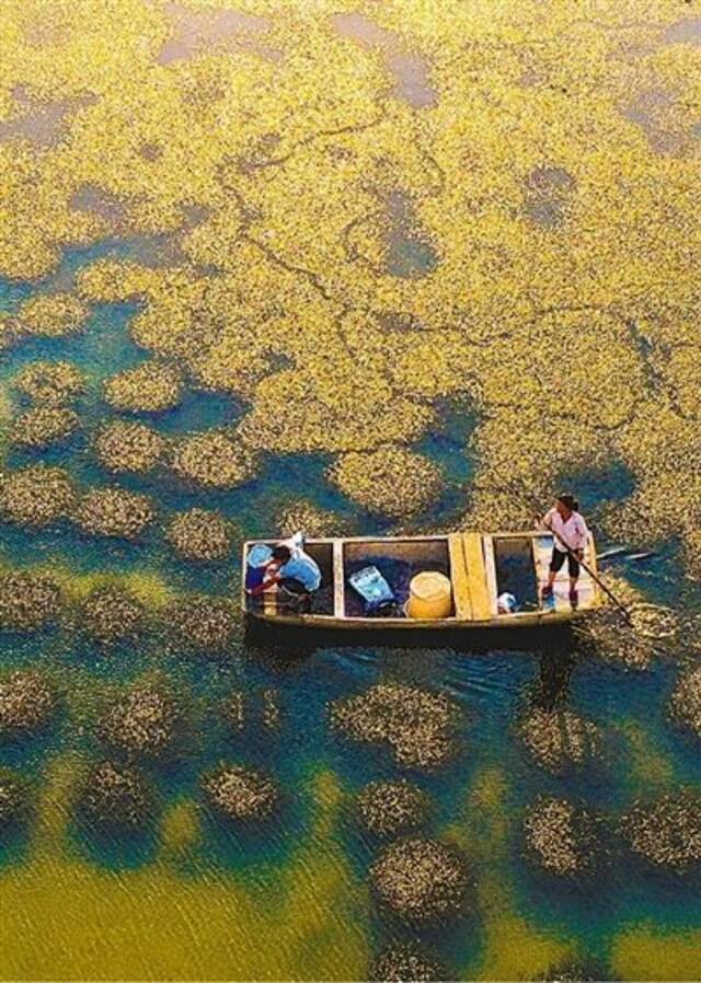 治水惠民 淮河安澜（新时代画卷·江河奔腾看中国）