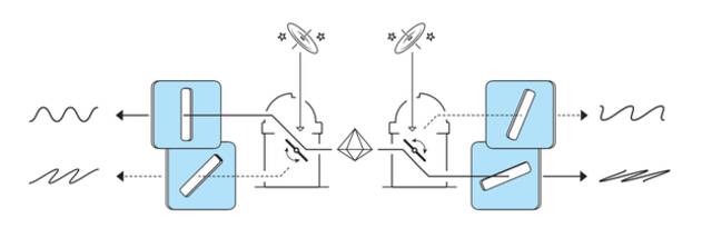 安东·塞林格研究示意图。