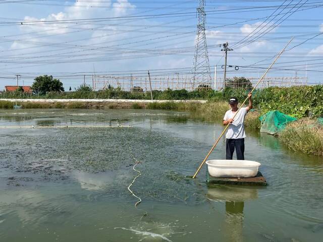 高温之后，蟹出阳澄湖