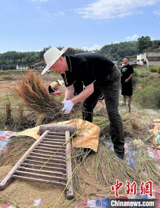 秋收体验活动现场。张莉娜摄