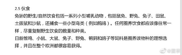 中国唯一圈养雄性兔狲“狲思邈”因进食卡喉窒息死亡