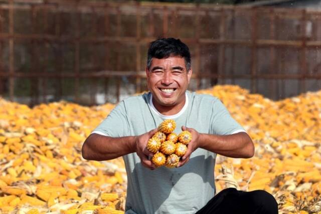 9月22日，在河南焦作博爱县磨头镇崔庄村，“70后”崔卫民展示今年丰收的玉米。新华社发（程全摄）