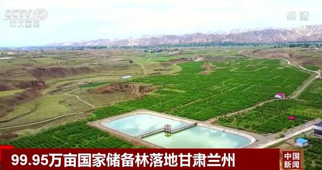 99.95万亩国家储备林落地甘肃兰州 为保持黄河水体健康提供保障