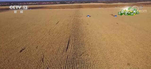 通过良种良法配套 多地秋粮单产进一步提升