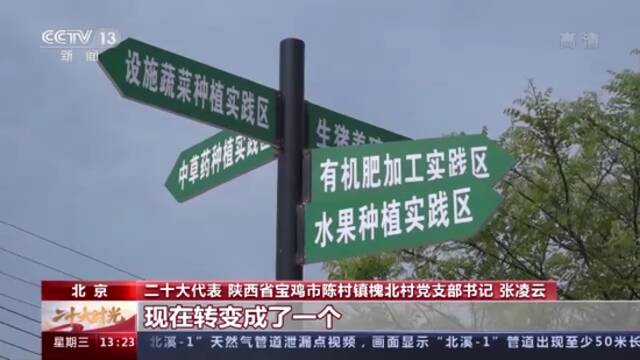 二十大时光丨返乡大学生“猪倌”张凌云的现代农业梦