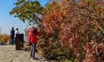 本周末香山公园将迎首个游园赏红叶高峰，游览指南来了
