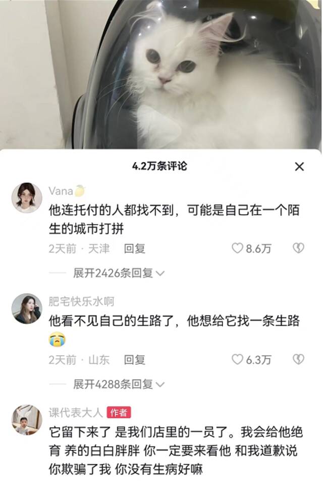 这个遗弃猫咪的人让网友破防：我肿瘤晚期了，只能送它来打工