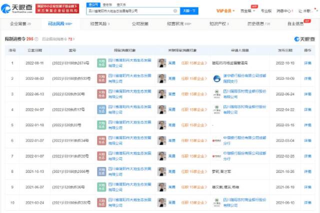 四川省简阳市大地生态发展有限公司限制消费令