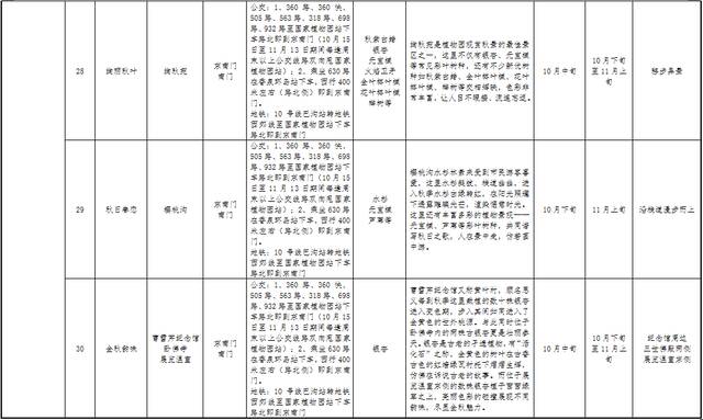 北京市属公园彩叶观赏指南！30处彩叶观赏地斑斓成景