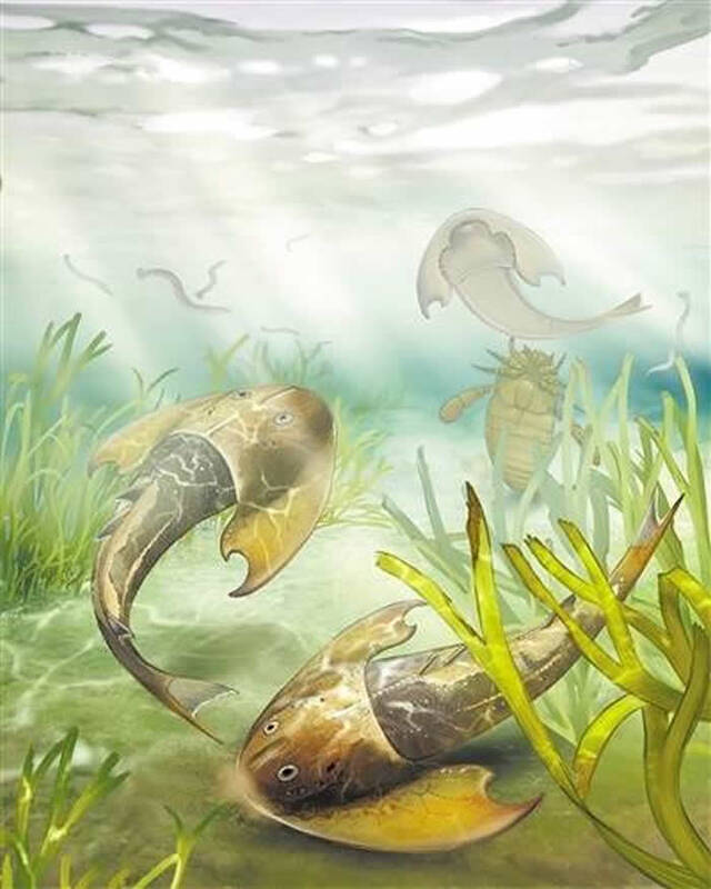 “从鱼到人”是历时5亿多年的演化新研究揭秘关键环节