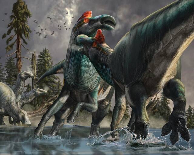 埃德蒙顿龙：神奇的恐龙“木乃伊”拥有蹄状的前足