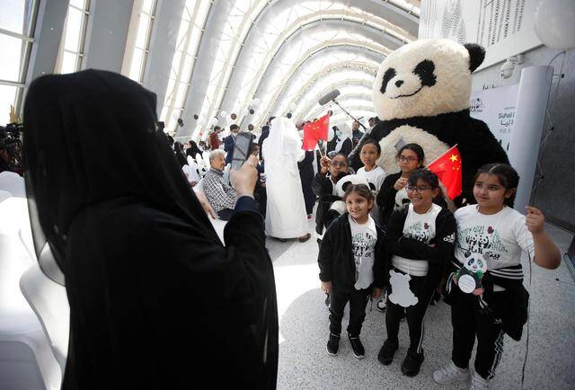 中国国宝大熊猫深受人们喜爱图据IC photo