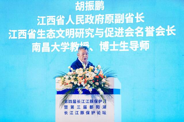 江西省原副省长、南昌大学教授胡振鹏发言。主办方供图