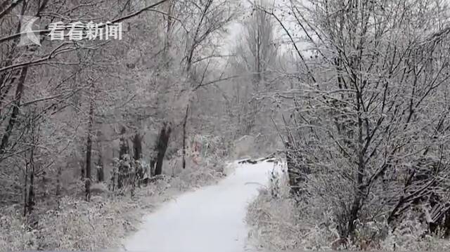 视频｜青藏高原局地暴雪 华北东北降温超10°C