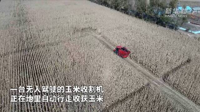 新华全媒+｜吉林：“无人农场”实现玉米无人自动收割