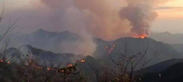 汶川地震中幸存的他，牺牲在了新田森林火灾救援现场