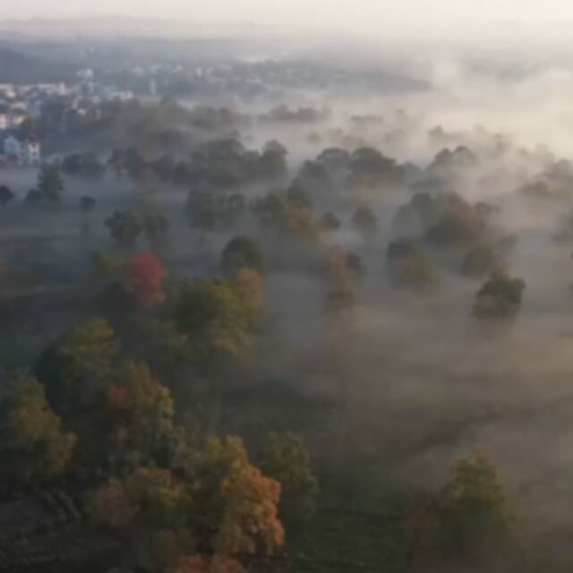 新华全媒+｜皖南秋色展人与自然和谐图景