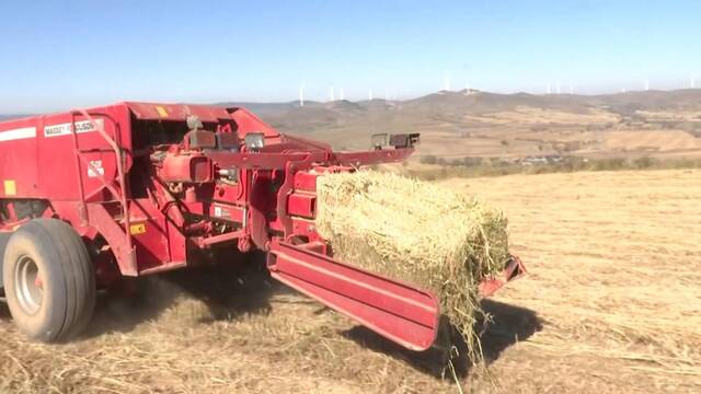 新华全媒+丨山西平鲁：秸秆回收废变宝 经济生态获双赢