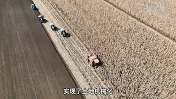 新华全媒+丨吉林：机械化水平提升 农民告别“手掰”苞米