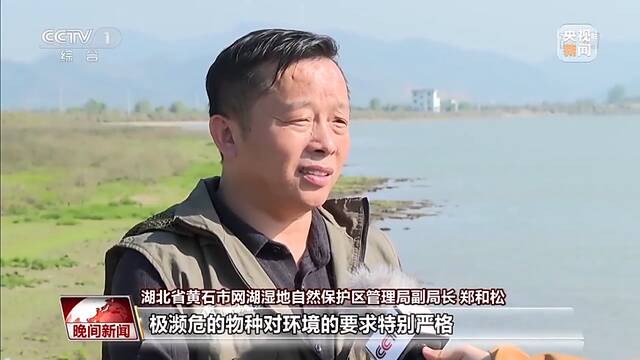 生态环境向好 这些湿地成候鸟越冬新站点