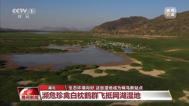 生态环境向好 这些湿地成候鸟越冬新站点