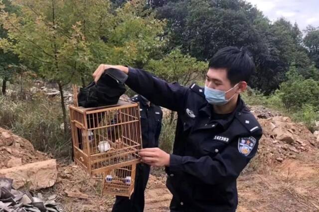 一堆鸟粪牵出一起案子！注意，这种鸟不能随便养