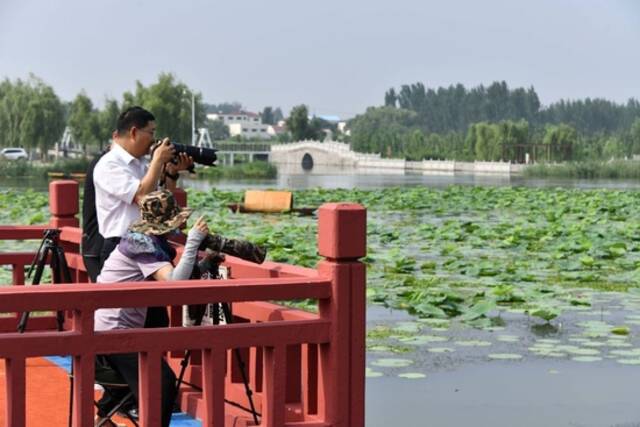 摄影爱好者在微山湖拍摄野生鸟类（2022年7月21日摄）。新华社记者徐速绘摄