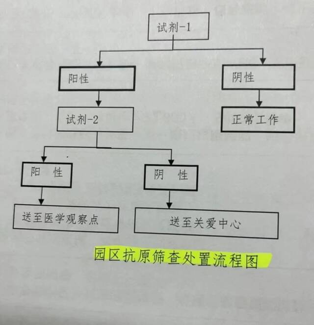 园区抗原筛查处置流程图