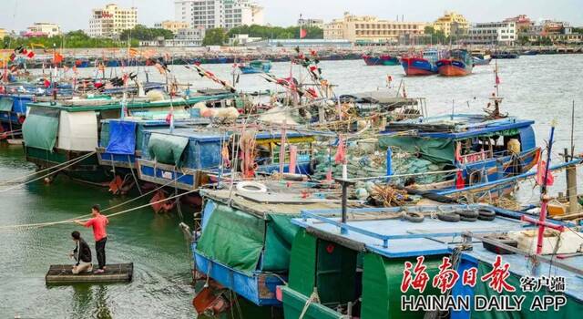 图片来源：海南日报