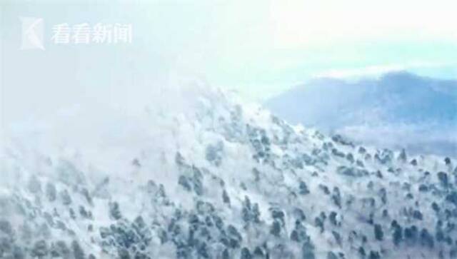 视频｜四川：四姑娘山秋冬景齐上线 飞雪飘然入彩林