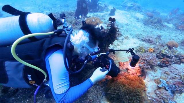 追光丨海底种珊瑚 高原拍动物——这位科学家是个“体育生”