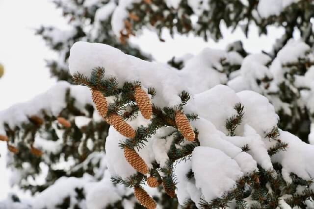 暴雪过后漠河市室外的景象（受访单位供图）