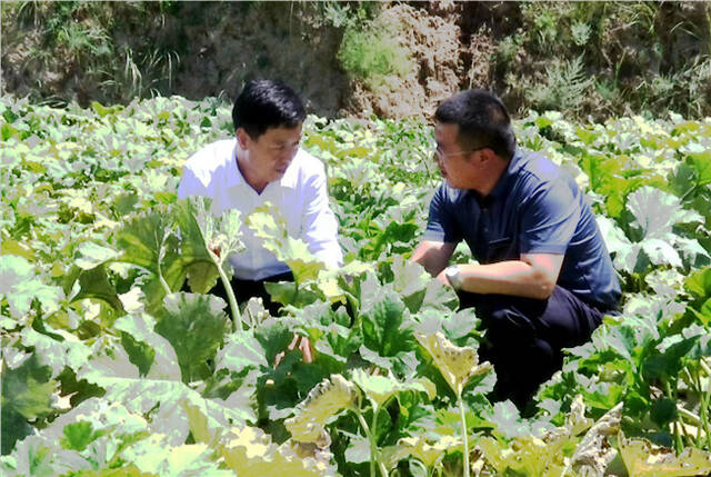 汛情期间，县纪委监委主要负责人与紫坊畔乡有关负责人研究防汛保产工作。