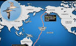 一只5个月大的斑尾塍鹬从阿拉斯加不间断飞了13558公里到澳大利亚 创新的世界纪录