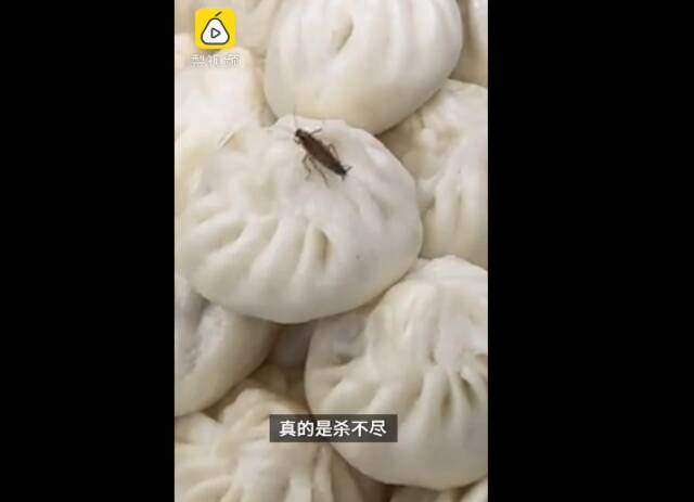 永辉超市包子上有蟑螂在爬 工作人员：居民家里不也会有蟑螂嘛