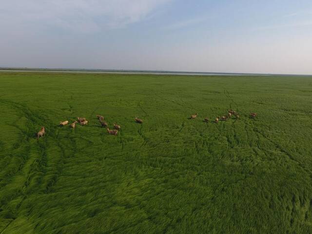 国际重要湿地取水记｜湖南东洞庭湖国际重要湿地